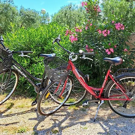 Διαμέρισμα Cozy One-bedroom